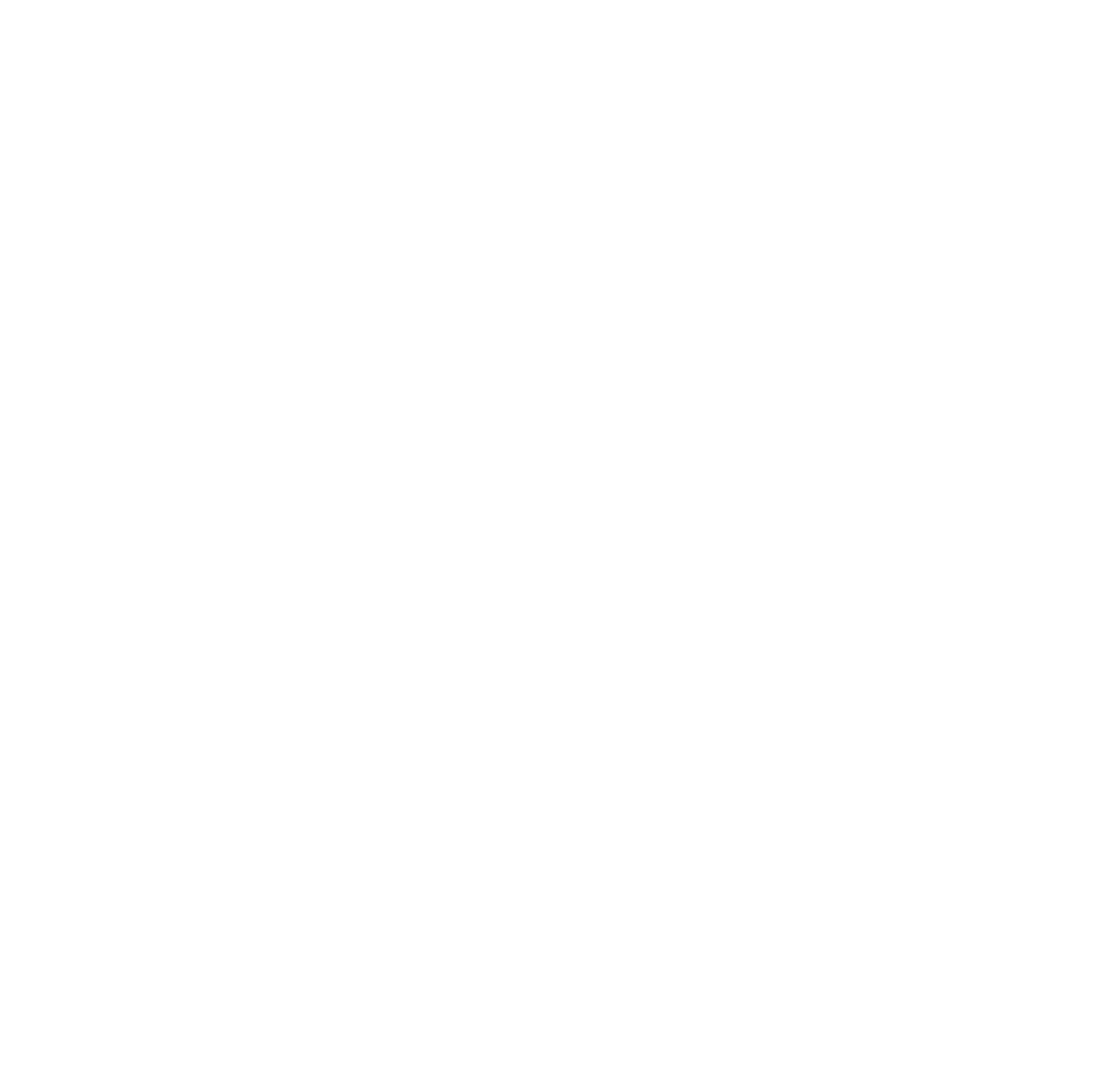 WYVERN SKINS